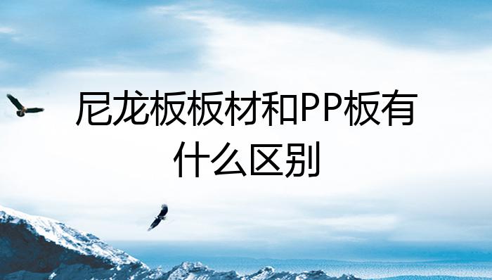 金沙威尼斯(wns)欢乐娱人城尼龙板板材和PP板有什么区别？(图1)