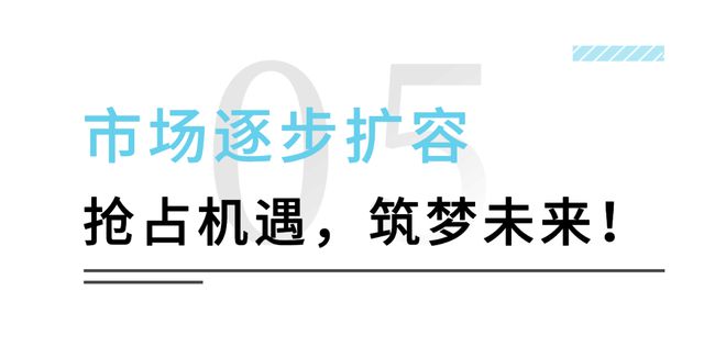 中国·金沙威尼斯(wns)欢乐娱人城-官方网站瑞典ZADIM希贝姆别墅家用电梯｜(图10)