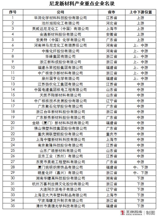 金沙威尼斯欢乐娱人城以尼龙新材料产业“磁场”驱动产业链创新与招商丨因“链”施策2(图6)